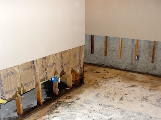 Mold Removal Bathroom