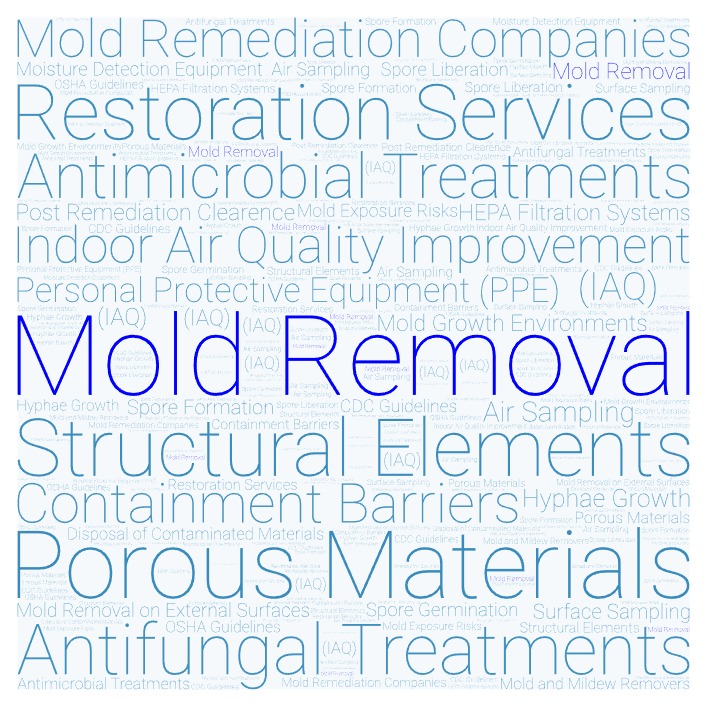 Mold Removal Attic