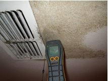 Mold Removal Professional